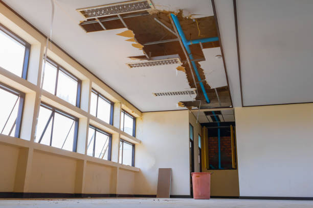 Best Flooded house restoration  in Ackerman, MS