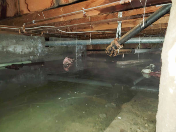 Best Residential water damage restoration  in Ackerman, MS