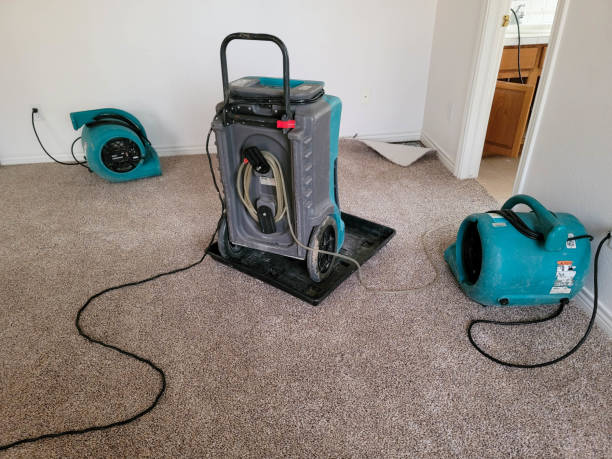 Best Sewage cleanup and water damage restoration  in Ackerman, MS