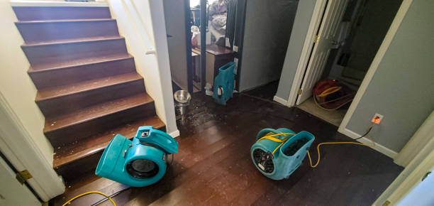 Best Water damage restoration near me  in Ackerman, MS