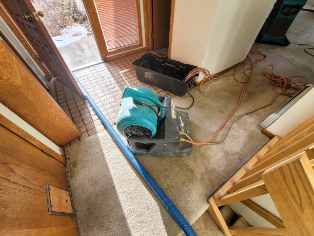 Best Carpet water damage restoration  in Ackerman, MS