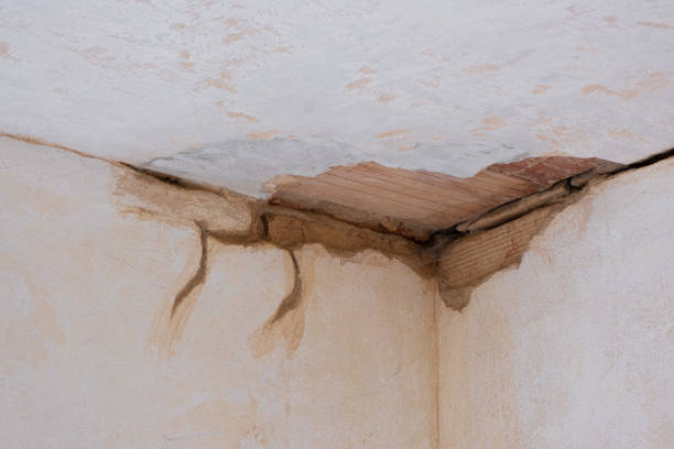 Best Carpet water damage restoration  in Ackerman, MS