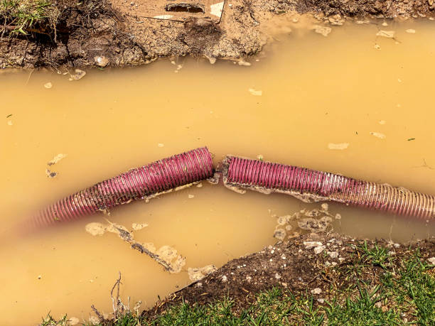 Best Water damage contractors near me  in Ackerman, MS