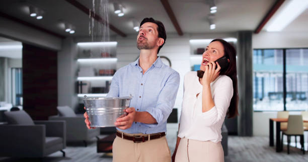 Best Commercial water damage restoration  in Ackerman, MS