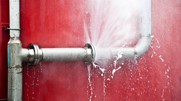 Best Fire Damage Restoration  in Ackerman, MS